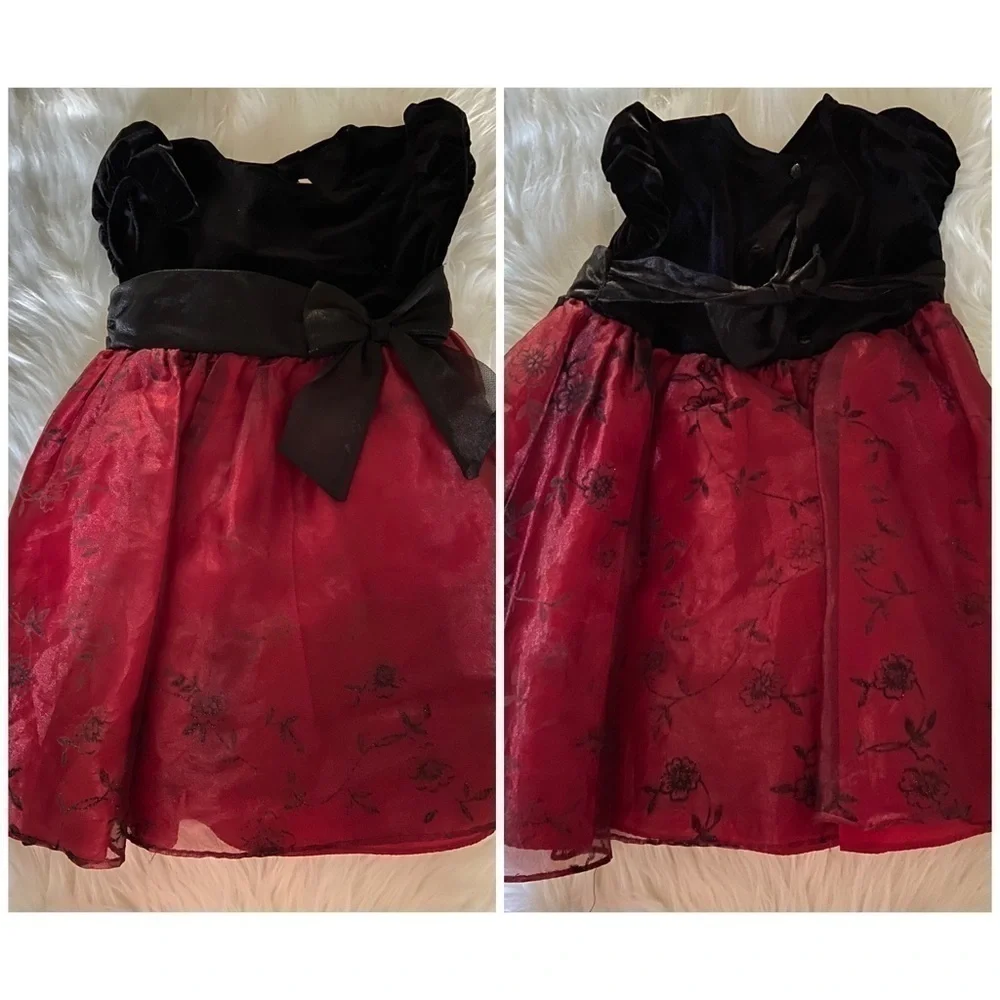 RARE Two Little Girls Velvet Dress